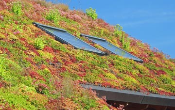 Tullybannocher living roof systems